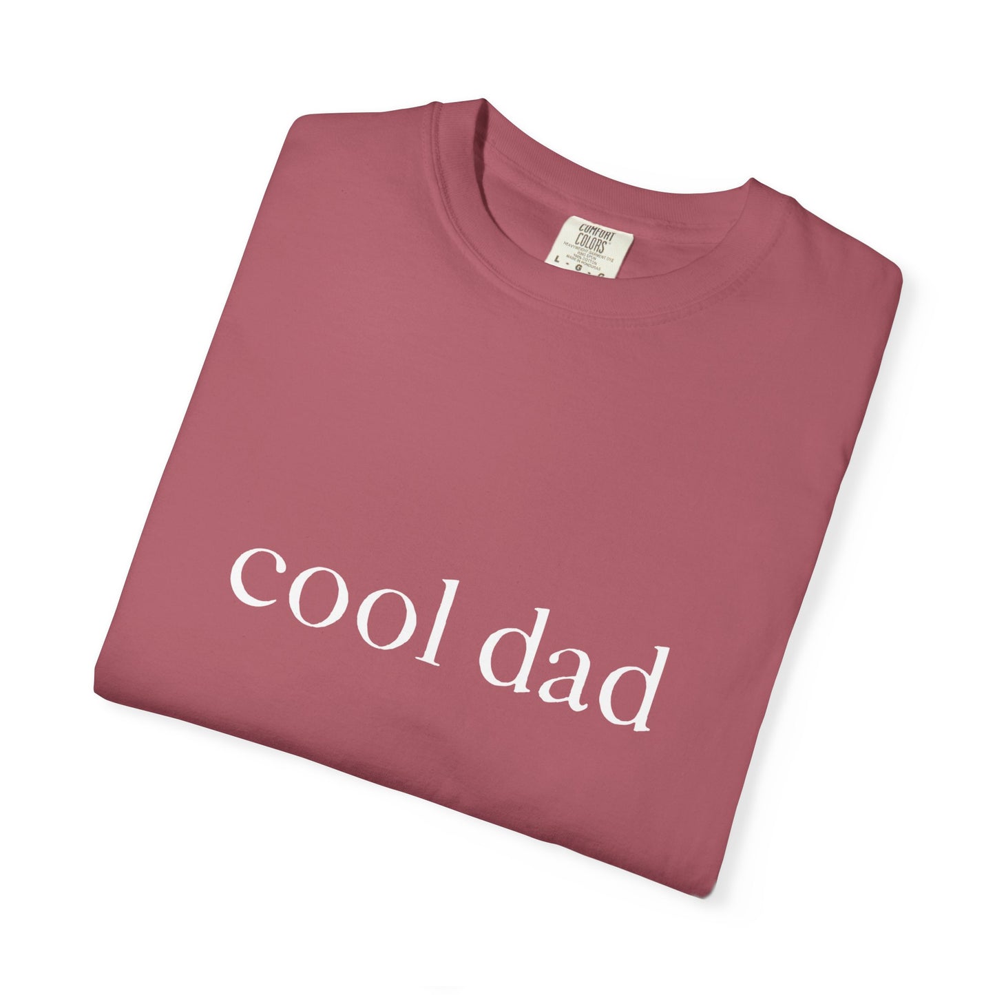 Comfort Colors Dad Shirt, Cool Dad Shirt, New Dad Gift, Fathers Day Gift for Dad, Girl Dad Shirt, Funny Dad Shirt, Cool Dads Club Tee