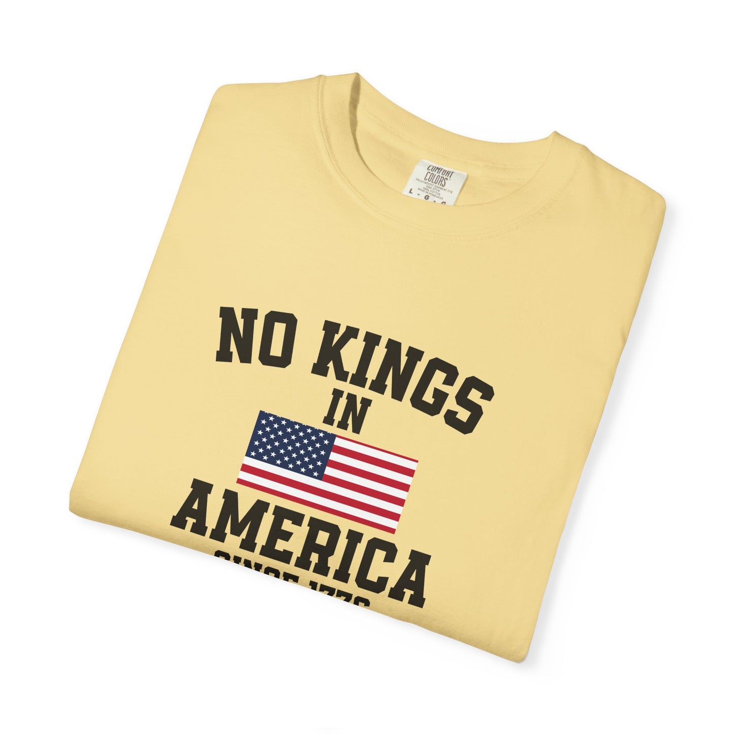 Personalized No Kings in America T Shirt, Democracy Tee, Patriotic Tee , personalized T shirt, 4th July Custom shirt, Liberal Shirt