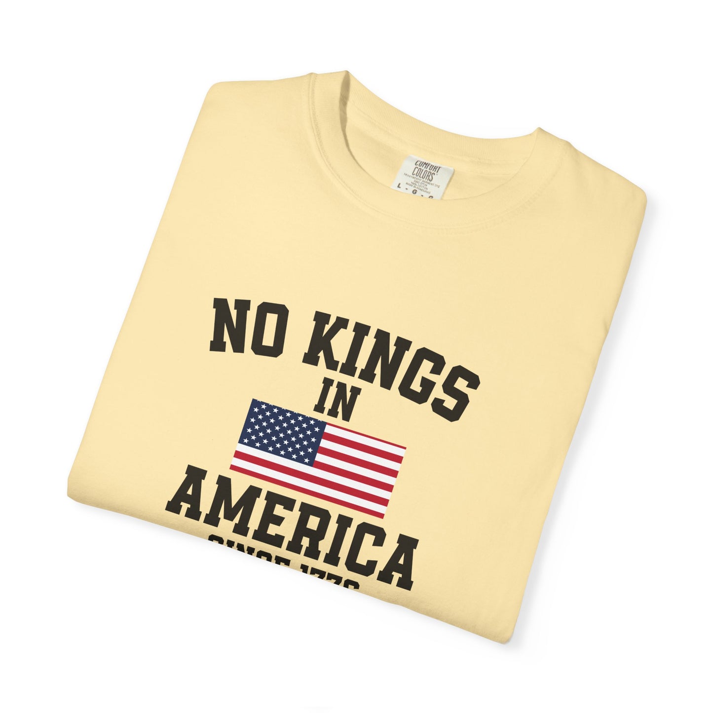 Personalized No Kings in America T Shirt, Democracy Tee, Patriotic Tee , personalized T shirt, 4th July Custom shirt, Liberal Shirt