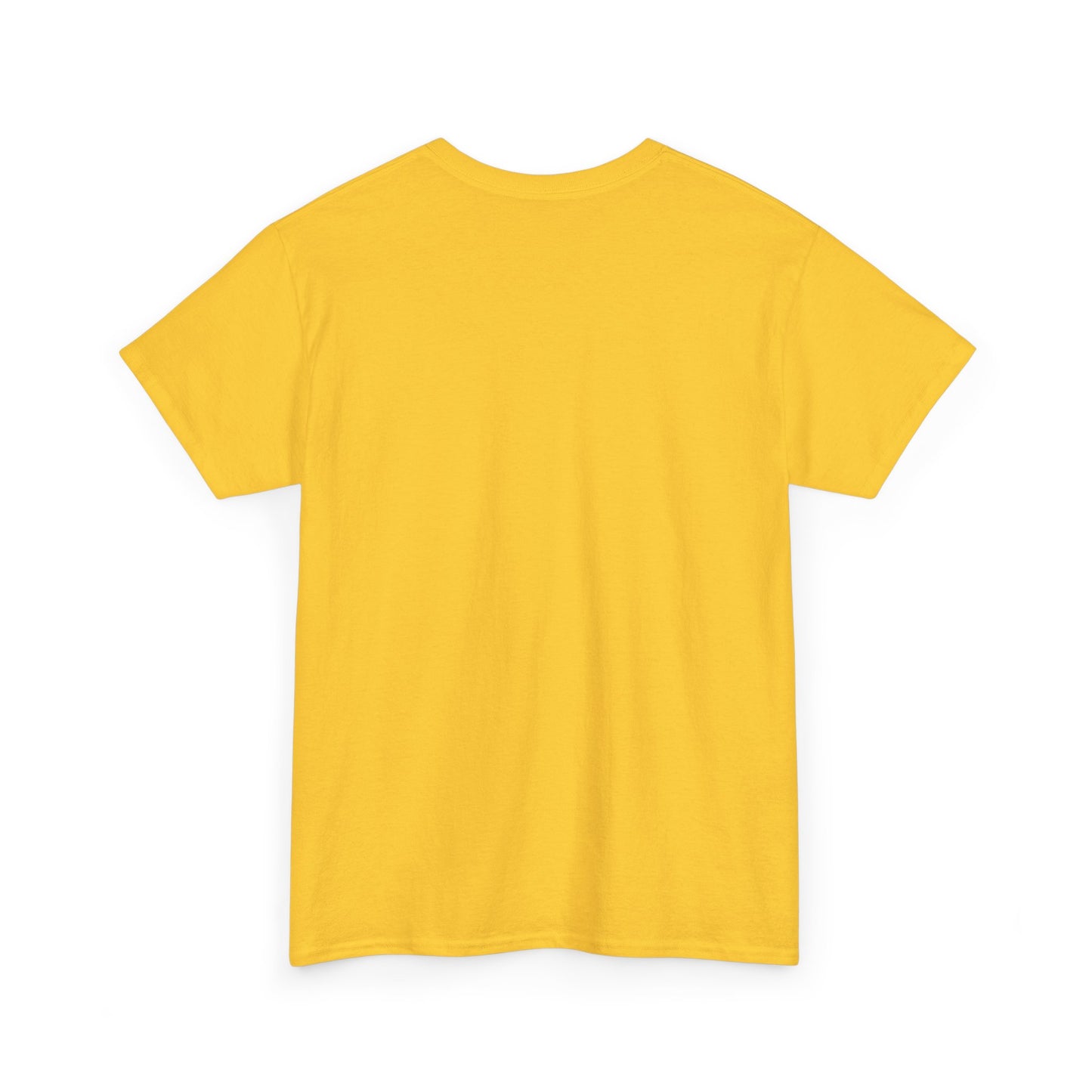Gilden 5000 T Shirt