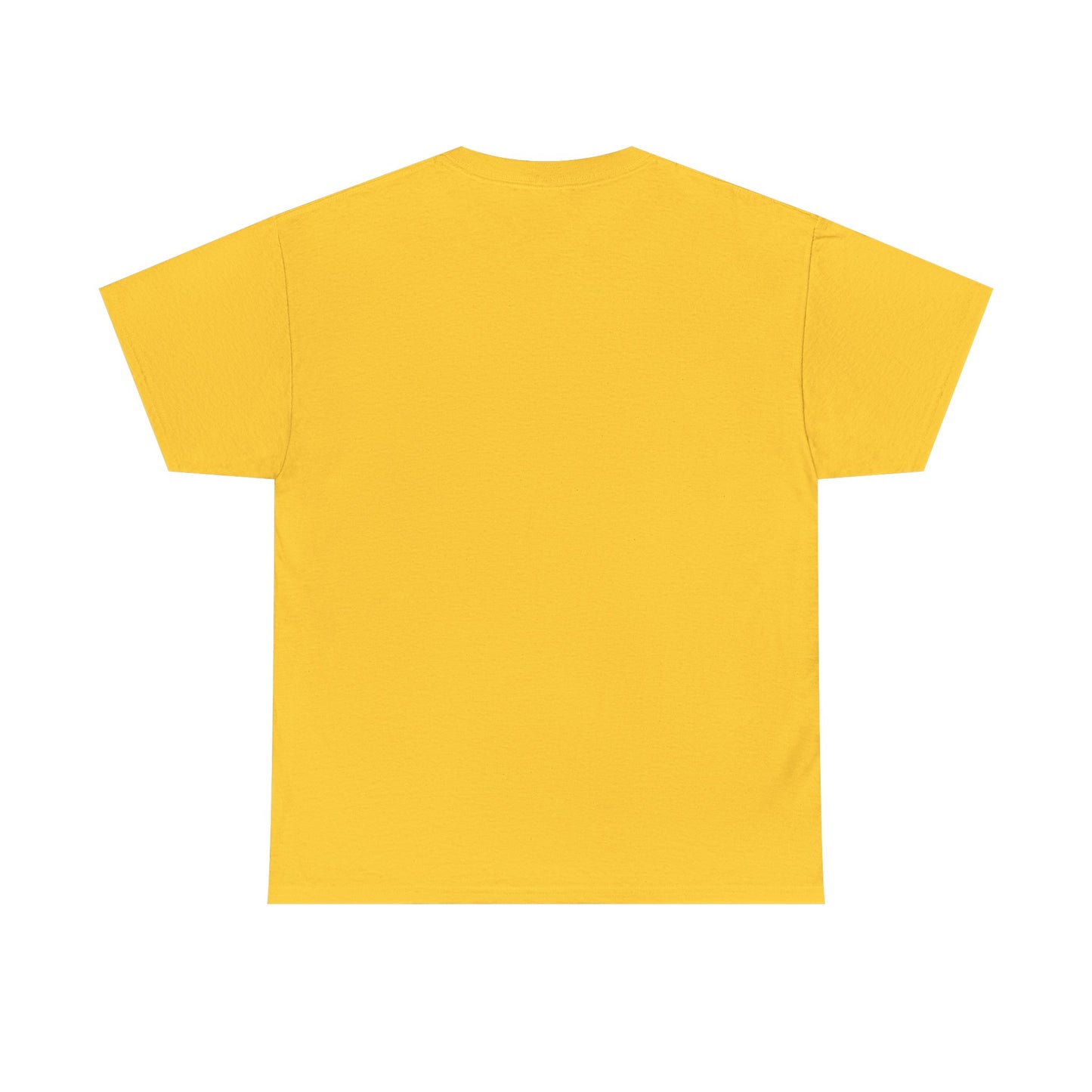 Gilden 5000 T Shirt