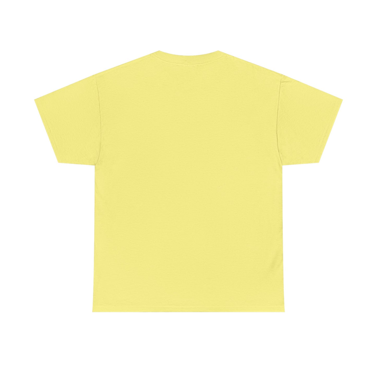 Gilden 5000 T Shirt