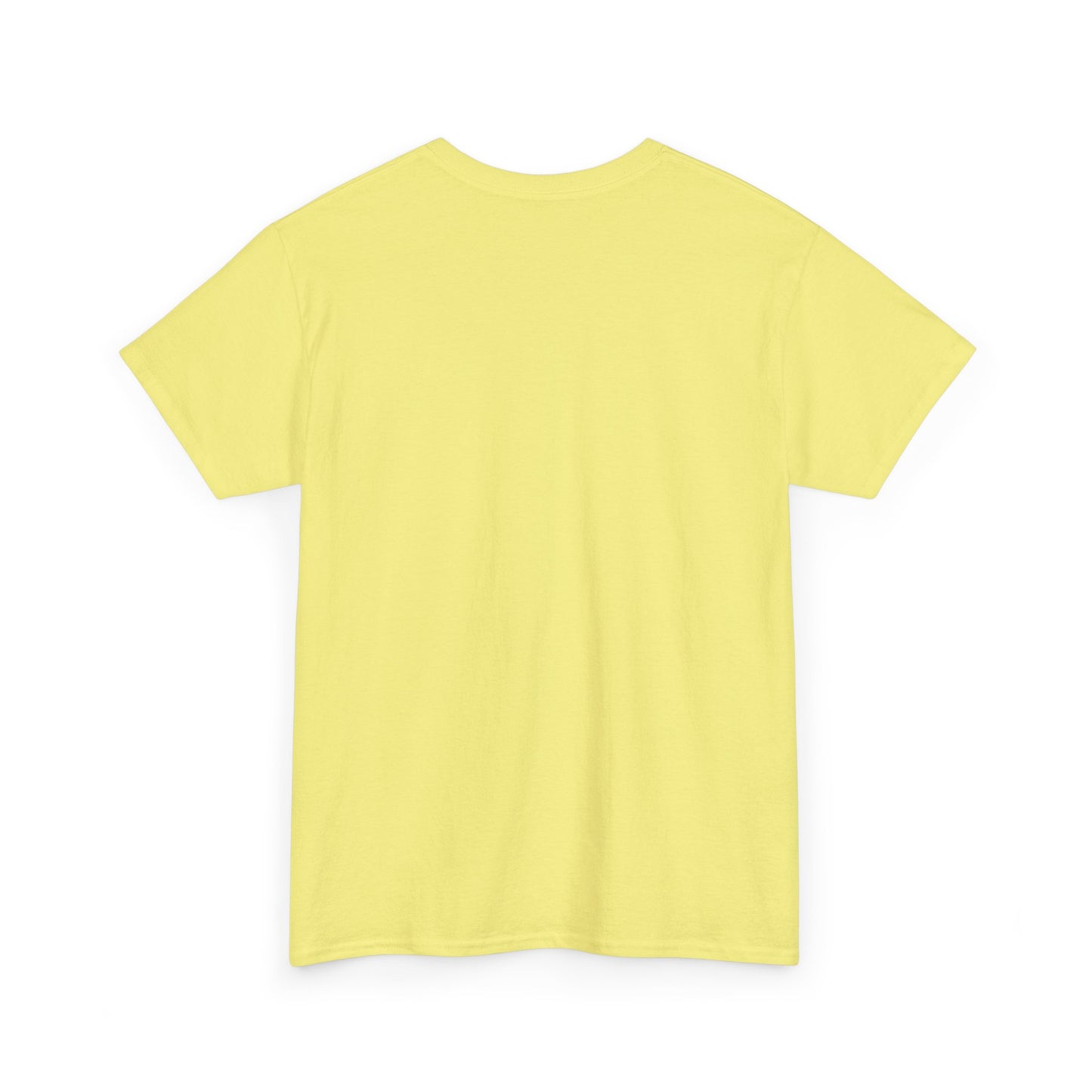 Gilden 5000 T Shirt