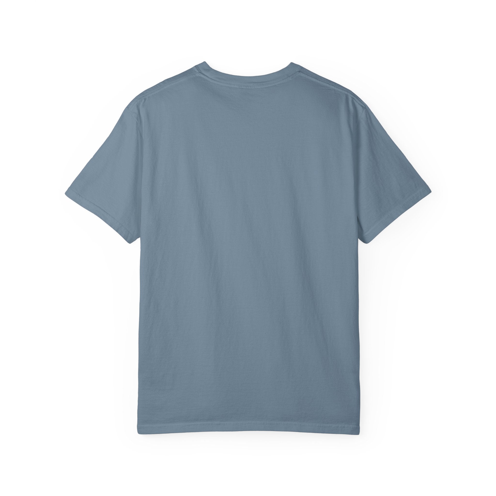 Comfort Colors Dad Shirt, Cool Dad Shirt, New Dad Gift, Fathers Day Gift for Dad, Girl Dad Shirt, Funny Dad Shirt, Cool Dads Club Tee